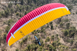 UP Torre L 95-115 Kg neu